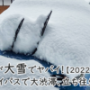 新潟が大雪でヤバイ！新新バイパスで大渋滞、立ち往生に巻き込まれた。【2022年12月】