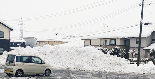 【2024年】新潟に春一番が最速到来！おかしな気候と冬・降雪のまとめ